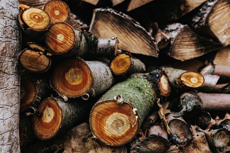 canva-sliced-logs-stacked-around-each-other-MADGvjicLDM