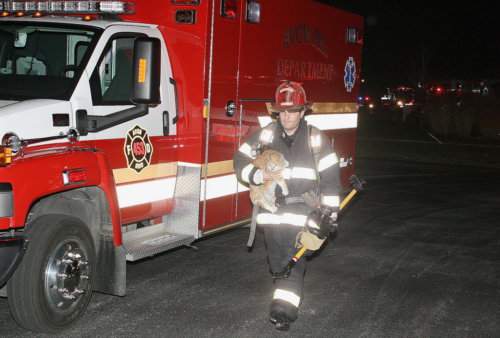 Avon Fires
